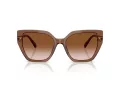 Swarovski Slnečné okuliare SK 6016 106713