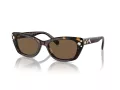 Swarovski Slnečné okuliare SK 6019 100273