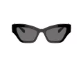 Swarovski Slnečné okuliare SK 6021 100181