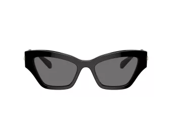 Swarovski Slnečné okuliare SK 6021 100181