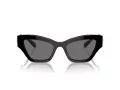Swarovski Slnečné okuliare SK 6021 100181