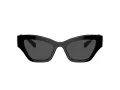 Swarovski Slnečné okuliare SK 6021 100187