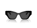 Swarovski Slnečné okuliare SK 6021 100187