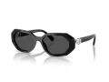 Swarovski Slnečné okuliare SK 6028 100187