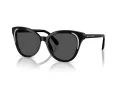 Swarovski Slnečné okuliare SK 6031 100187