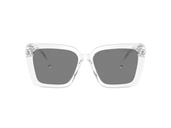 Swarovski Slnečné okuliare SK 6032 102787