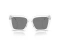Swarovski Slnečné okuliare SK 6032 102787