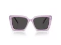 Swarovski Slnečné okuliare SK 6032 107587