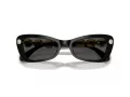 Swarovski Slnečné okuliare SK 6033 100187