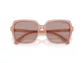 Swarovski Slnečné okuliare SK 6034D 10257N