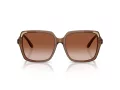 Swarovski Slnečné okuliare SK 6034D 106713