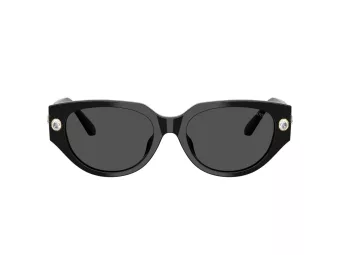Swarovski Slnečné okuliare SK 6035D 100187