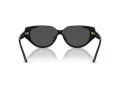 Swarovski Slnečné okuliare SK 6035D 100187