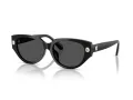 Swarovski Slnečné okuliare SK 6035D 100187