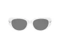 Swarovski Slnečné okuliare SK 6035D 105087