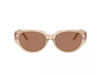 Swarovski Slnečné okuliare SK 6035D 106673