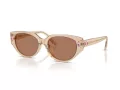 Swarovski Slnečné okuliare SK 6035D 106673