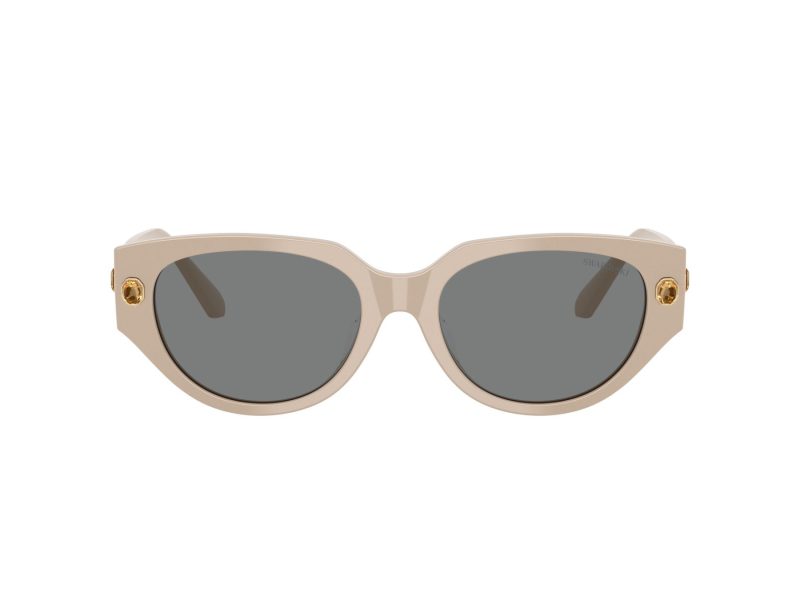 Swarovski Slnečné okuliare SK 6035D 106887