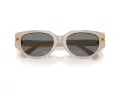 Swarovski Slnečné okuliare SK 6035D 106887