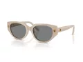 Swarovski Slnečné okuliare SK 6035D 106887