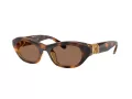 Swarovski Slnečné okuliare SK 6036U 100273
