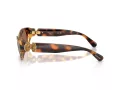 Swarovski Slnečné okuliare SK 6036U 100273
