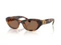 Swarovski Slnečné okuliare SK 6036U 100273