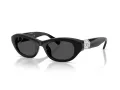 Swarovski Slnečné okuliare SK 6036U 103887