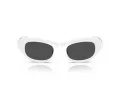 Swarovski Slnečné okuliare SK 6036U 105087