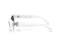 Swarovski Slnečné okuliare SK 6036U 105087