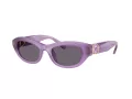 Swarovski Slnečné okuliare SK 6036U 10751A