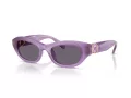 Swarovski Slnečné okuliare SK 6036U 10751A