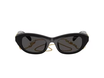 Swarovski Slnečné okuliare SK 6036U 107687