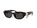 Swarovski Slnečné okuliare SK 6036U 107687