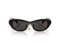 Swarovski Slnečné okuliare SK 6036U 107687