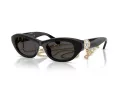 Swarovski Slnečné okuliare SK 6036U 107687