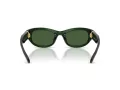 Swarovski Slnečné okuliare SK 6036U 108171