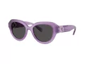 Swarovski Slnečné okuliare SK 6037 107587