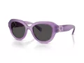 Swarovski Slnečné okuliare SK 6037 107587