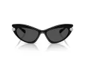 Swarovski Slnečné okuliare SK 6038 103887