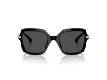Swarovski Slnečné okuliare SK 6040 100187