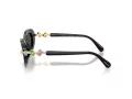Swarovski Slnečné okuliare SK 6042 100187