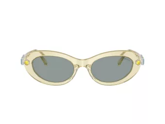 Swarovski Slnečné okuliare SK 6042 1080/1