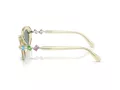 Swarovski Slnečné okuliare SK 6042 1080/1