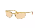 Swarovski Slnečné okuliare SK 7001 4007/8