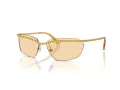 Swarovski Slnečné okuliare SK 7001 4007/8