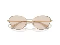 Swarovski Slnečné okuliare SK 7014 4013M4