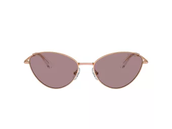 Swarovski Slnečné okuliare SK 7014 40147N