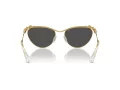 Swarovski Slnečné okuliare SK 7017 400487