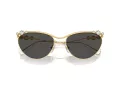 Swarovski Slnečné okuliare SK 7017 400487